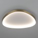 Потолочный светодиодный светильник Citilux Genka Smart CL756A162
