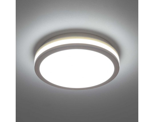 Светильник накладной Citilux LUNS CL711010V