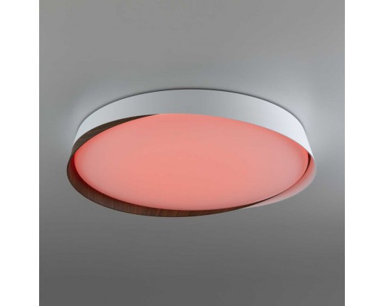 Потолочный светодиодный светильник Citilux Bonny CL754450G