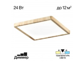 Светильник накладной Citilux Бейсик CL738K242V
