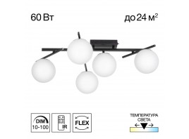 Потолочная светодиодная люстра Citilux Dorsy CL223152