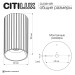 Потолочный светильник Citilux Axel CL512113R