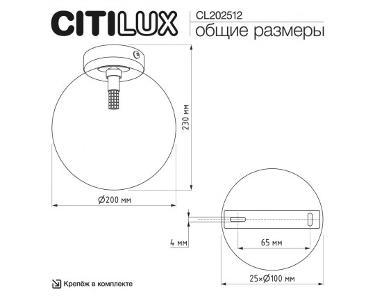 Светильник Citilux ORTON CL202512