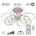 Потолочная светодиодная люстра Citilux Salma Smart CL224A171