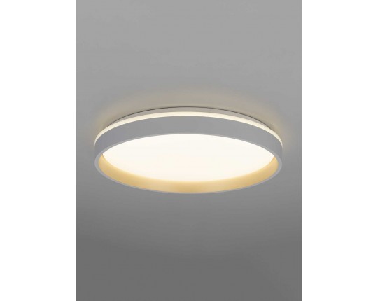 Светильник потолочный Citilux ENZO CL753450G