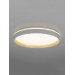 Светильник потолочный Citilux ENZO CL753450G