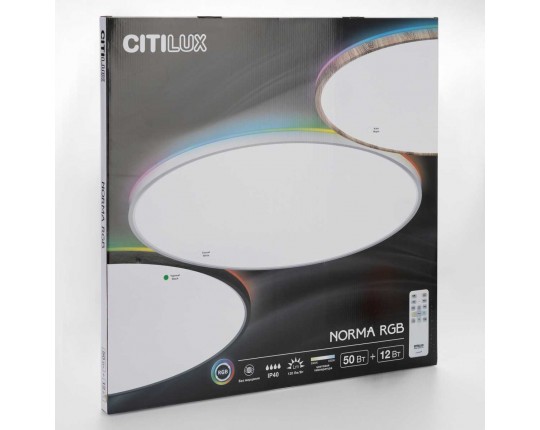Потолочный светильник Citilux NORMA CL749601