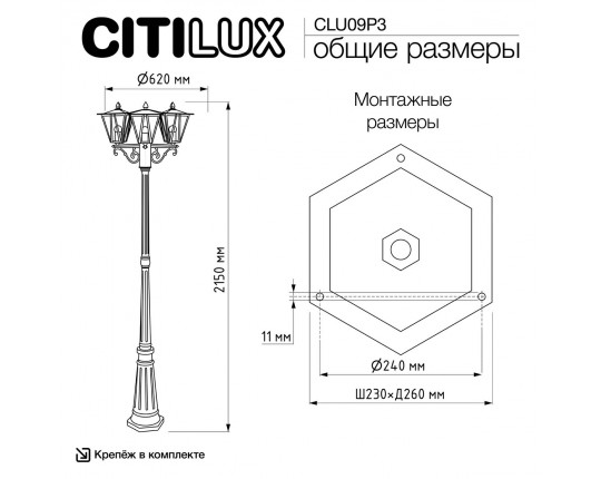 Садово-парковый светильник Citilux Forts CLU09P3