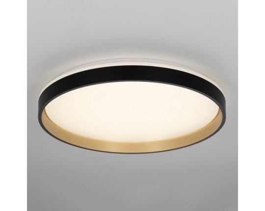 Светильник потолочный Citilux ENZO CL753511G