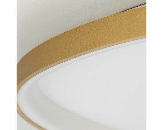 Потолочный светодиодный светильник Citilux Genka Smart CL756A162