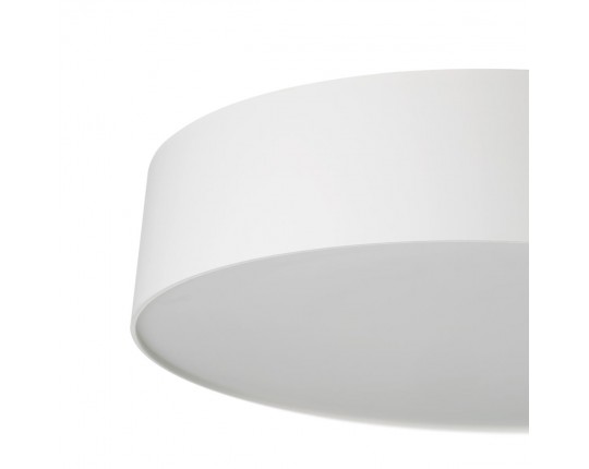 Светильник потолочный Citilux BART CL755290
