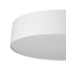 Светильник потолочный Citilux BART CL755290