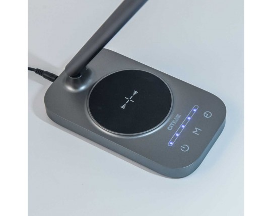 Настольная лампа Citilux Ньютон CL803052