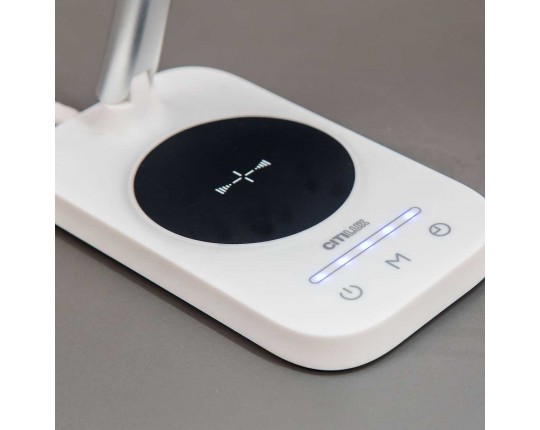 Настольная лампа Citilux Ньютон CL803051