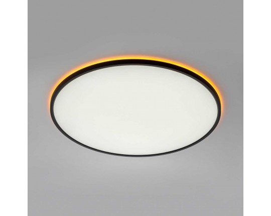 Потолочный светильник Citilux NORMA CL749601