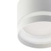 Потолочный светильник Citilux Hardy CL002C10
