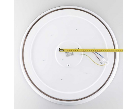 Потолочный светодиодный светильник Citilux Bonny CL754450G