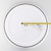 Потолочный светодиодный светильник Citilux Bonny CL754450G