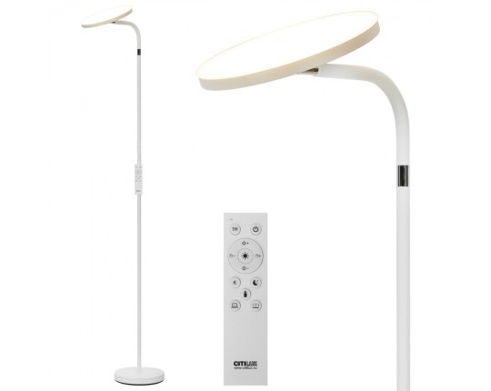 Торшер Citilux CL804060