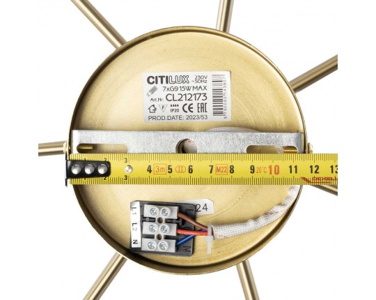 Люстра на штанге Citilux TONGA CL212173