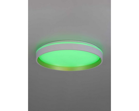 Светильник потолочный Citilux ENZO CL753450G