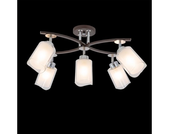 Спот Citilux Фортуна CL156152