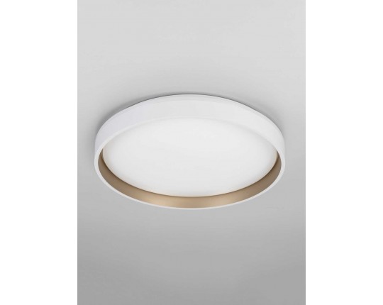 Светильник потолочный Citilux ENZO CL753450G