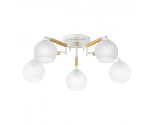 Потолочная люстра Citilux Tika CL133150
