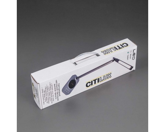 Настольная лампа Citilux Ньютон CL803052