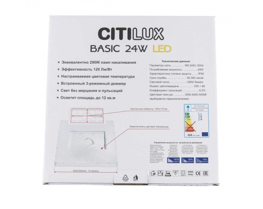 Светильник накладной Citilux Бейсик CL738K242V