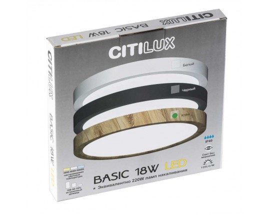 Светильник накладной Citilux Бейсик CL738122N Светильник накладной Citilux Бейсик CL738122N