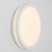 Светильник накладной Citilux LUNS CL711010V