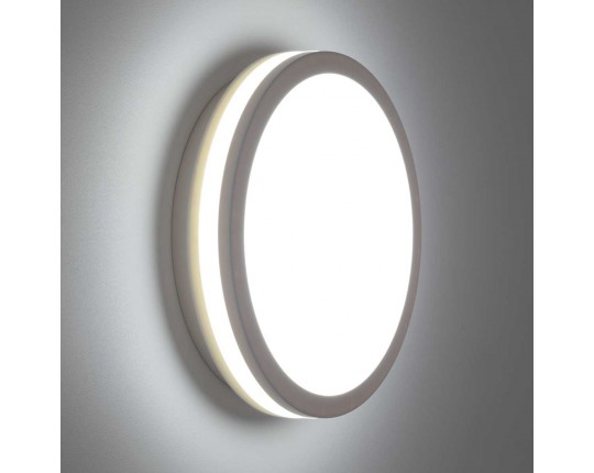 Светильник накладной Citilux LUNS CL711010V