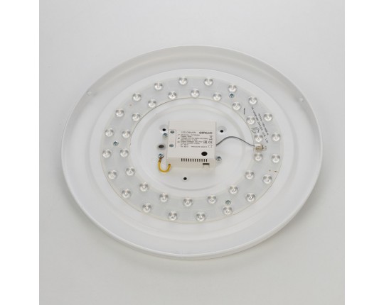 Потолочный светодиодный светильник Citilux Bart CL755391