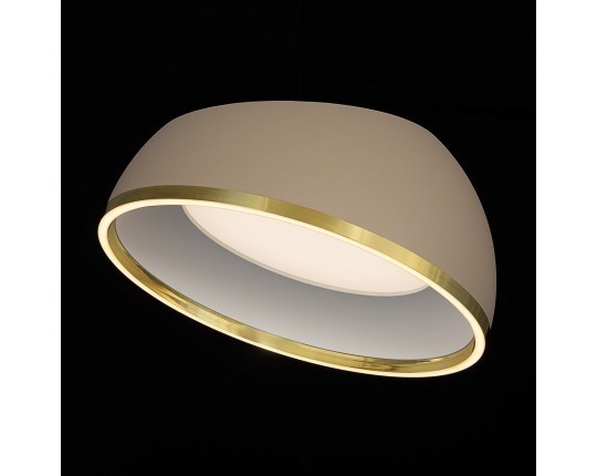 Потолочный светодиодный светильник Citilux Floom CL736152