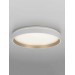 Светильник потолочный Citilux ENZO CL753450G