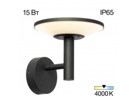 Уличный настенный светильник Citilux Dorn CLU05W
