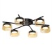 Потолочная люстра Citilux Espace CL243161 Потолочная люстра Citilux Espace CL243161