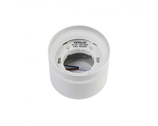 Потолочный светильник Citilux Hardy CL002C10