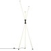 Торшер Citilux Lucia CL217961