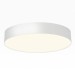 Потолочный светодиодный светильник Citilux Bart CL755390