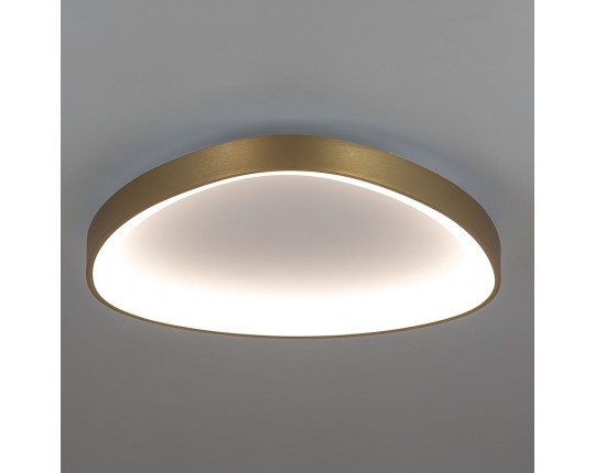 Потолочный светодиодный светильник Citilux Genka Smart CL756A142
