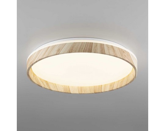 Потолочный светодиодный светильник Citilux Enzo CL753452G Потолочный светодиодный светильник Citilux Enzo CL753452G