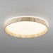 Потолочный светодиодный светильник Citilux Enzo CL753452G Потолочный светодиодный светильник Citilux Enzo CL753452G