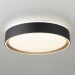 Потолочный светодиодный светильник Citilux Boss CL751251G Потолочный светодиодный светильник Citilux Boss CL751251G
