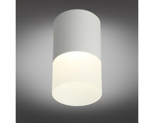 Потолочный светодиодный светильник Omnilux Ercolano OML-100009-05
