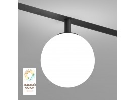 Трековый светодиодный светильник Denkirs Smart Moon DK8050-BK