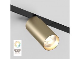Трековый светодиодный светильник Denkirs Smart Spot DK8020-BG