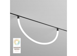 Трековый светодиодный светильник Denkirs Smart Ray DK8060-BK