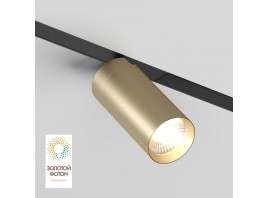Трековый светодиодный светильник Denkirs Smart Spot DK8010-BG